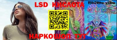 крисы Будённовск