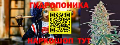 крисы Будённовск
