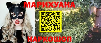 крисы Будённовск
