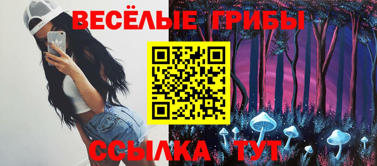 Галлюциногенные грибы MAGIC MUSHROOMS  Вход с VPN  Крымск 